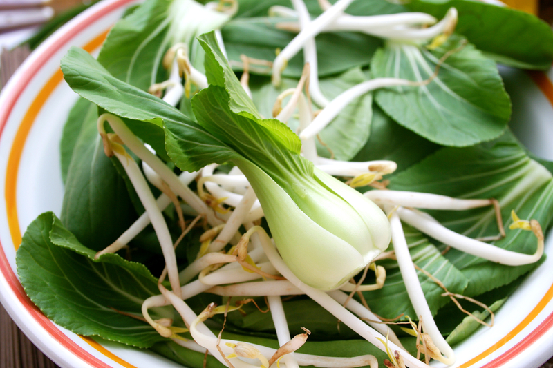 Pak Choi